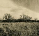 Prairie Before The River