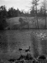 Carl Sandburg Lake and House