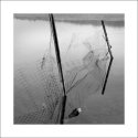 Walton Lake Fence