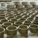 bowls