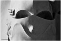 Gaudi in Colourless