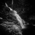holga