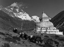 Stupa in Dingboche