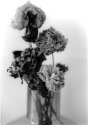 Flowers Still Life