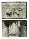 Cemetary Still Life