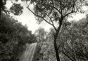 Secret Falls, Kauai  (view of the top)