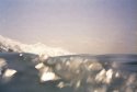 Wave