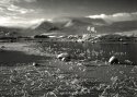 Ice, Rannoch Moor