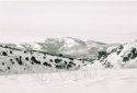 "snowscape"