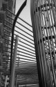 The Lines