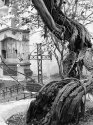 Holy Grounds