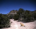 Water Canyon trail