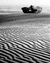 From dust to dust
