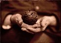 An Offering