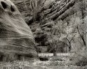 Passage, Canyon del Muerto