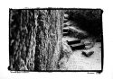 Pathways