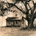 oak and hut 3