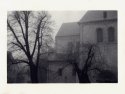 Fog