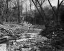 Little Webber Creek