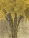 8x10 gum, Daffs