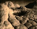 elephant skin