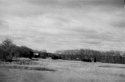 Salt Marsh CT