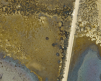 Stainscape Close up 1