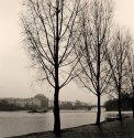 View From Kampa Island