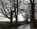 Lane