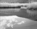 Iona Marsh