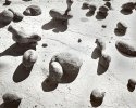 Bisti Badlands