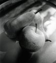 apple and pears - pinhole, amidol
