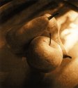 apple and pears - pinhole, lith