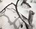White Sands