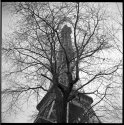Structure; Eiffel Tower, Paris 2009