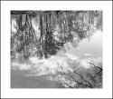 The Wallkill River at Benedict Farm 1