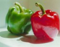 peppers in winter