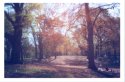 Prospect Park Brooklyn NY