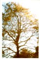 Prospect Park Brooklyn NY