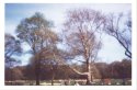 Prospect Park Brooklyn NY