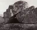 Heraculae