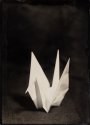 Paper Crane