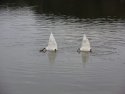 Bottoms Up!