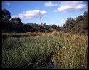 My first 4x5 colour slide!!
