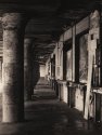Grain Docks