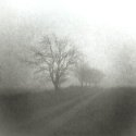 Autumn - Windy Ridge