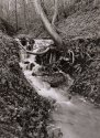 Seckley Coalworks