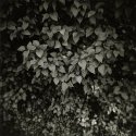 my first date with Holga 1/8