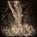 my first date with Holga 1/2