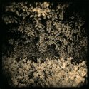 my first date with Holga 1/3